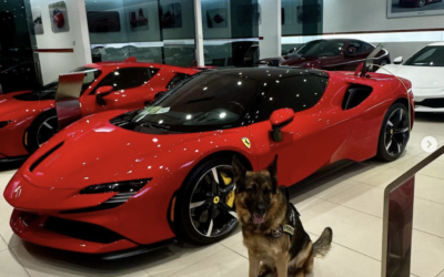 K-9 Sgt. Lanzer visits Ferrari of Central New Jersey